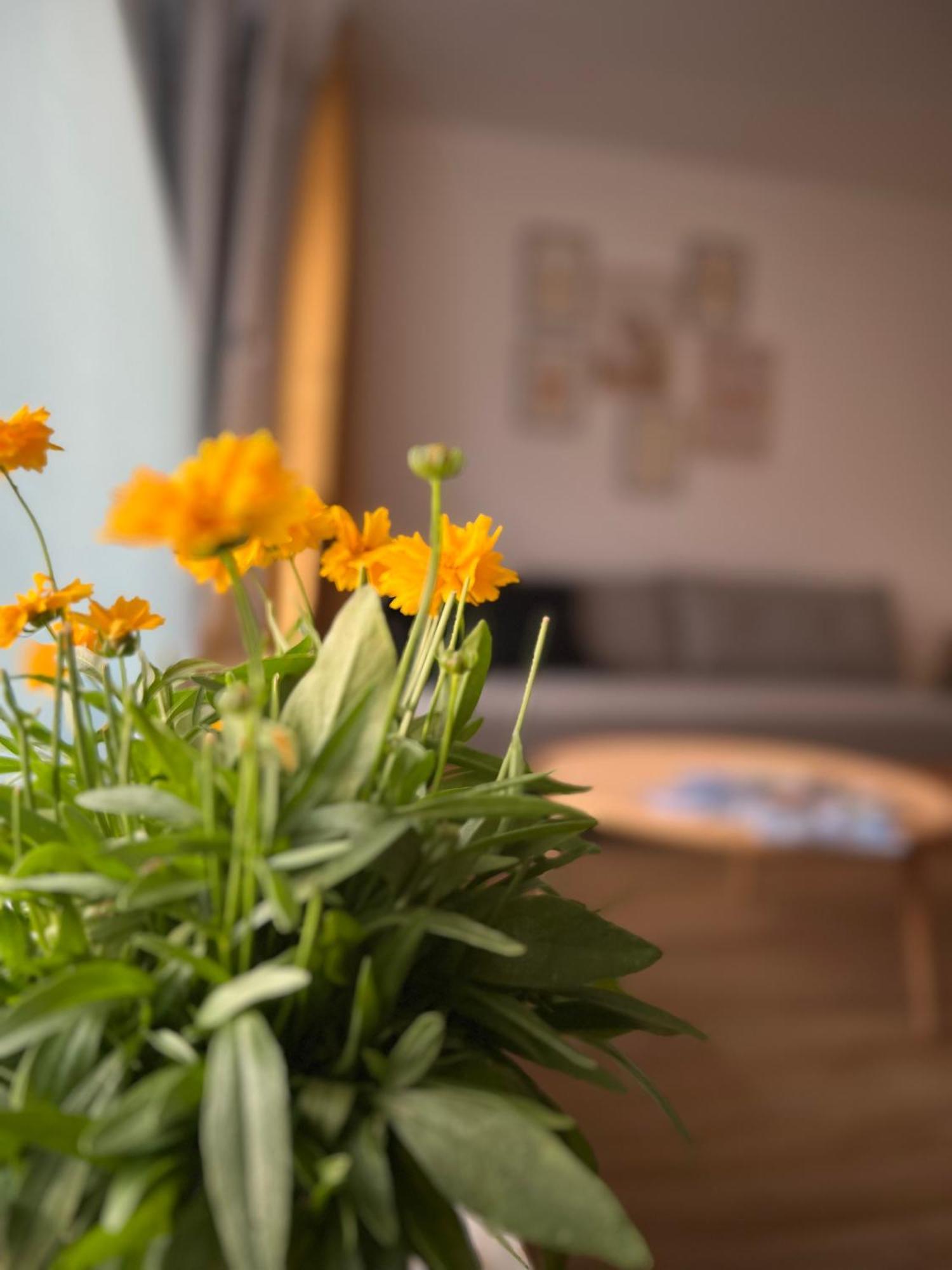Ferienwohnung Sonneck Оберщауфен Екстериор снимка